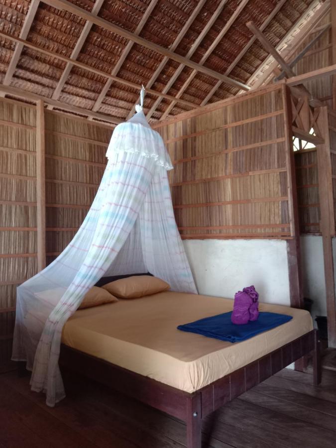 Turtle Dive Homestay Kri Extérieur photo