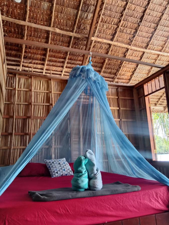 Turtle Dive Homestay Kri Extérieur photo