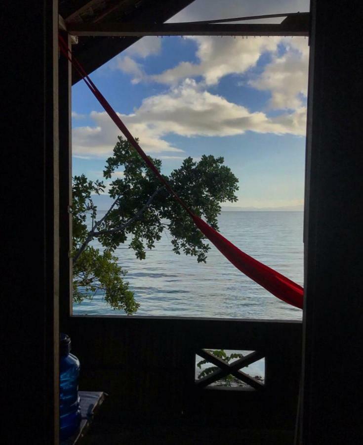 Turtle Dive Homestay Kri Extérieur photo
