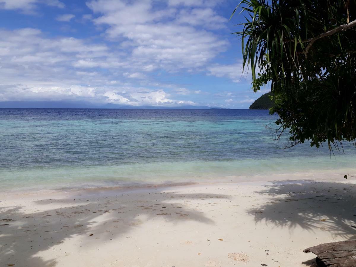 Turtle Dive Homestay Kri Extérieur photo