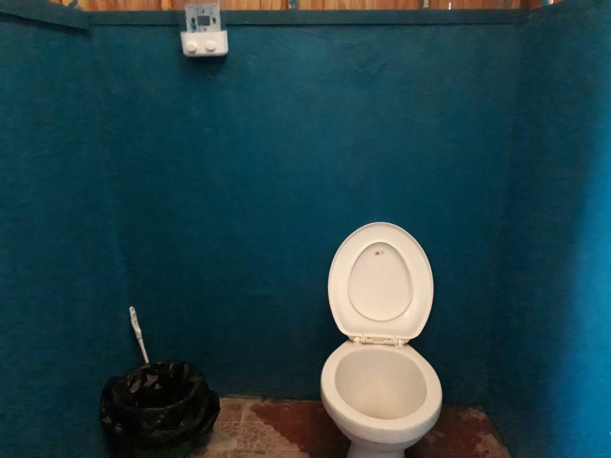 Turtle Dive Homestay Kri Extérieur photo